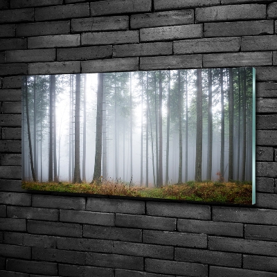 Printed glass wall art Fog in the forest