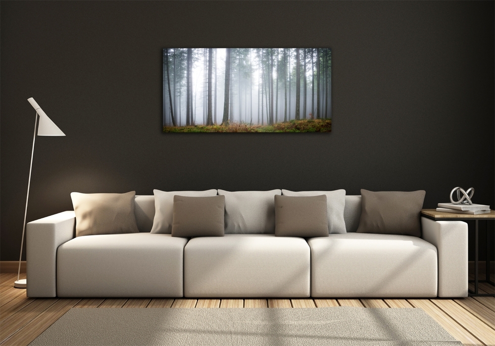 Printed glass wall art Fog in the forest