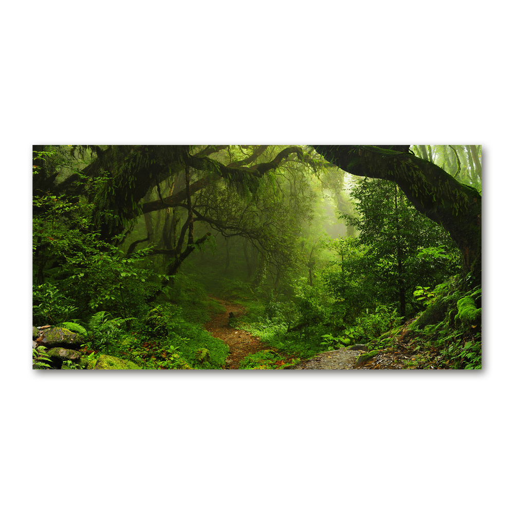 Glass wall art large Jungle in nepal