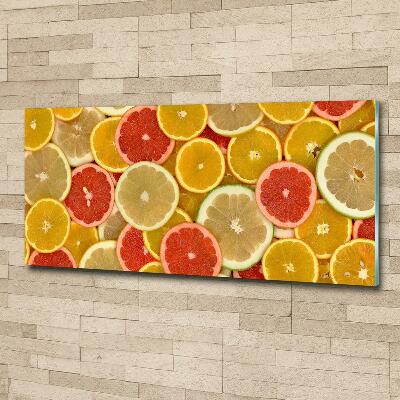 Wall art on glass Citrus fruits