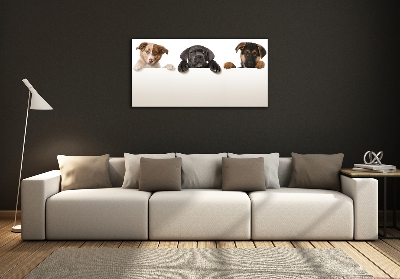 Wall art on glass Three puppies