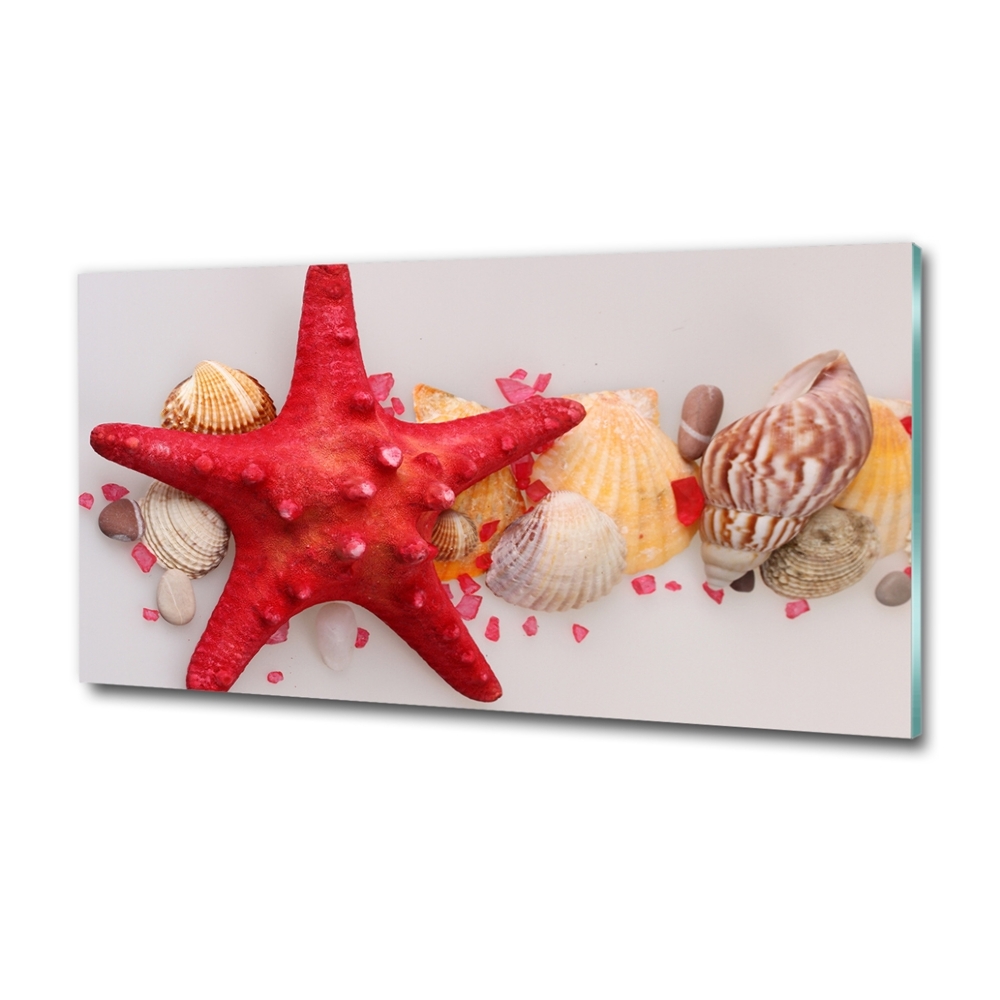 Glass art print Starfish and shells