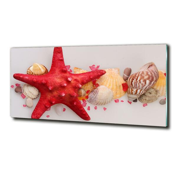 Glass art print Starfish and shells