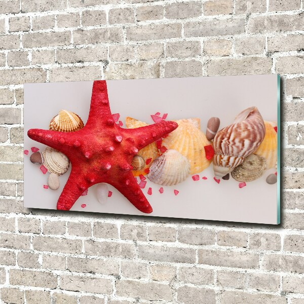 Glass art print Starfish and shells