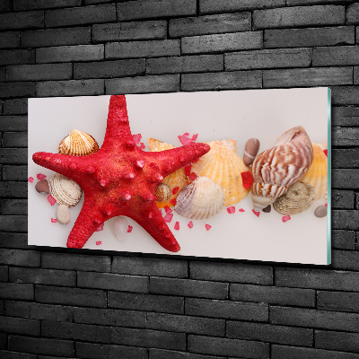 Glass art print Starfish and shells