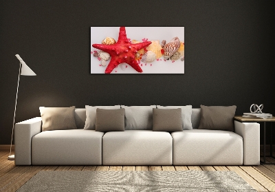 Glass art print Starfish and shells