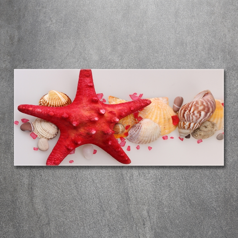 Glass art print Starfish and shells