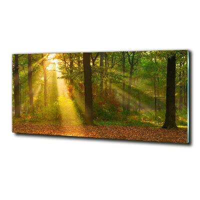 Glass wall art large Forest in the sun