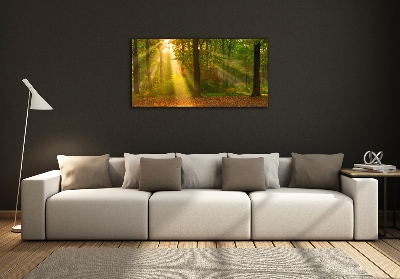 Glass wall art large Forest in the sun