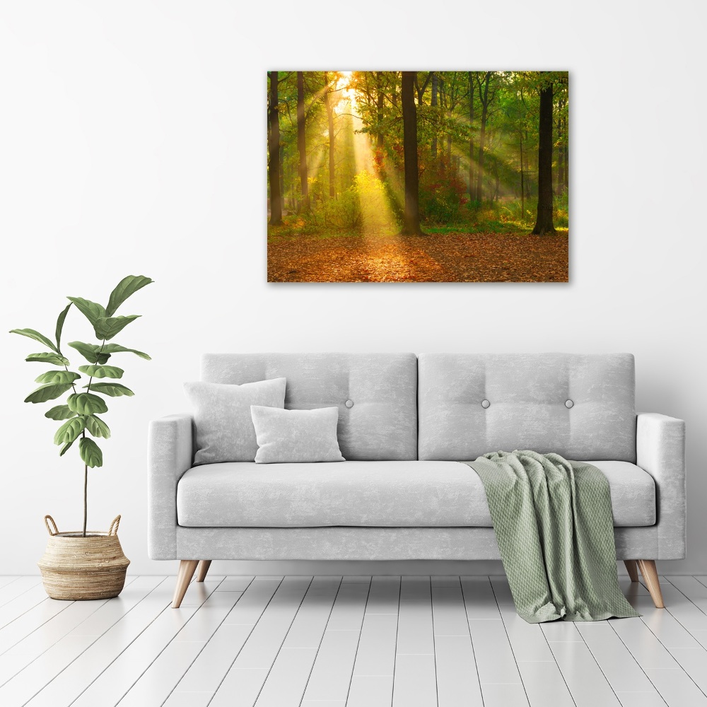 Glass wall art large Forest in the sun