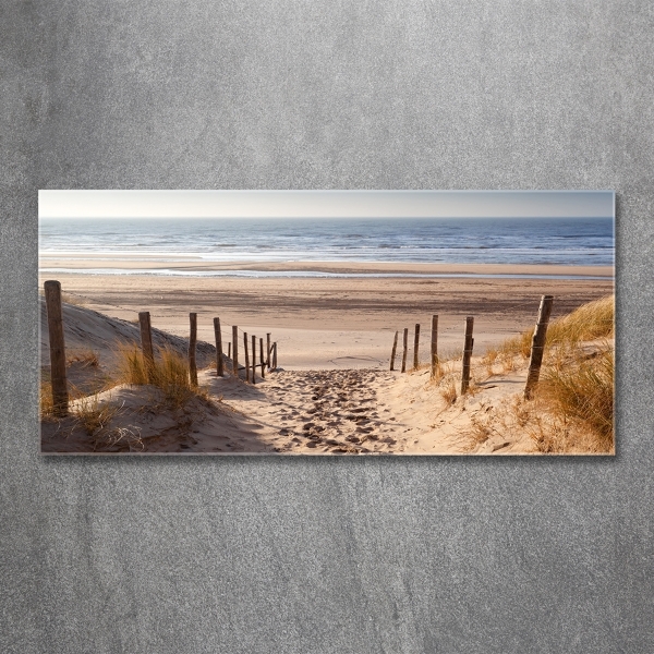 Glass wall art large Coastal dunes