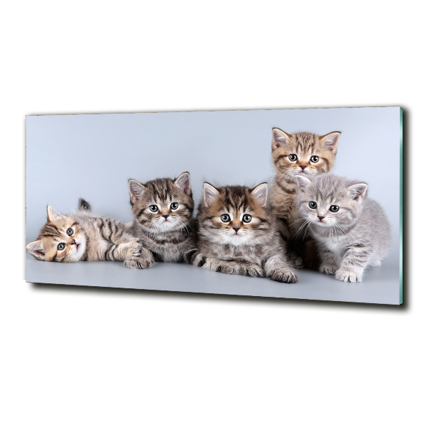 Glass art print Five cats