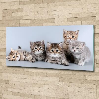 Glass art print Five cats