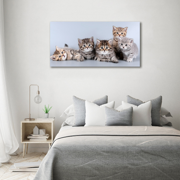 Glass art print Five cats