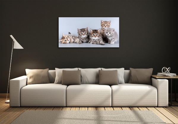 Glass art print Five cats