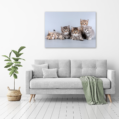 Glass art print Five cats