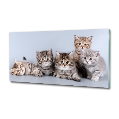 Glass art print Five cats