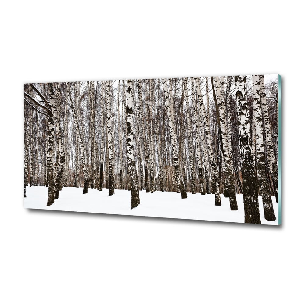 Glass wall art large Birches in winter