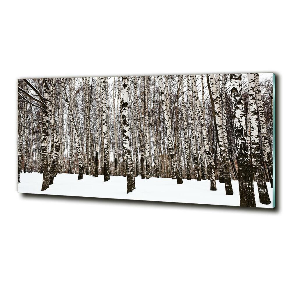 Glass wall art large Birches in winter