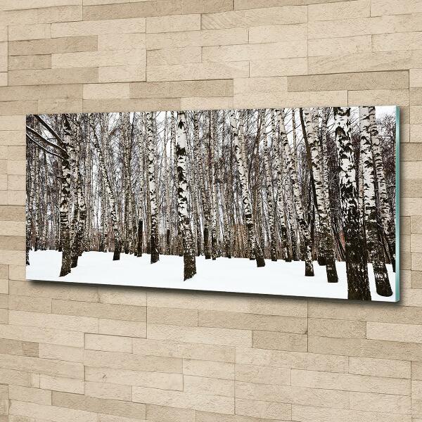 Glass wall art large Birches in winter