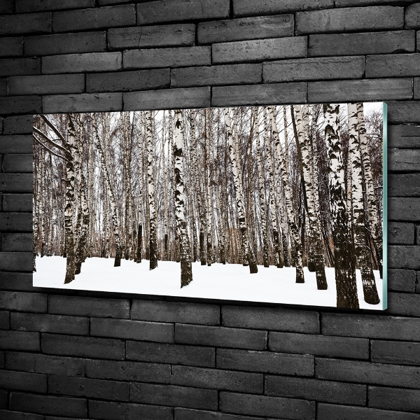 Glass wall art large Birches in winter