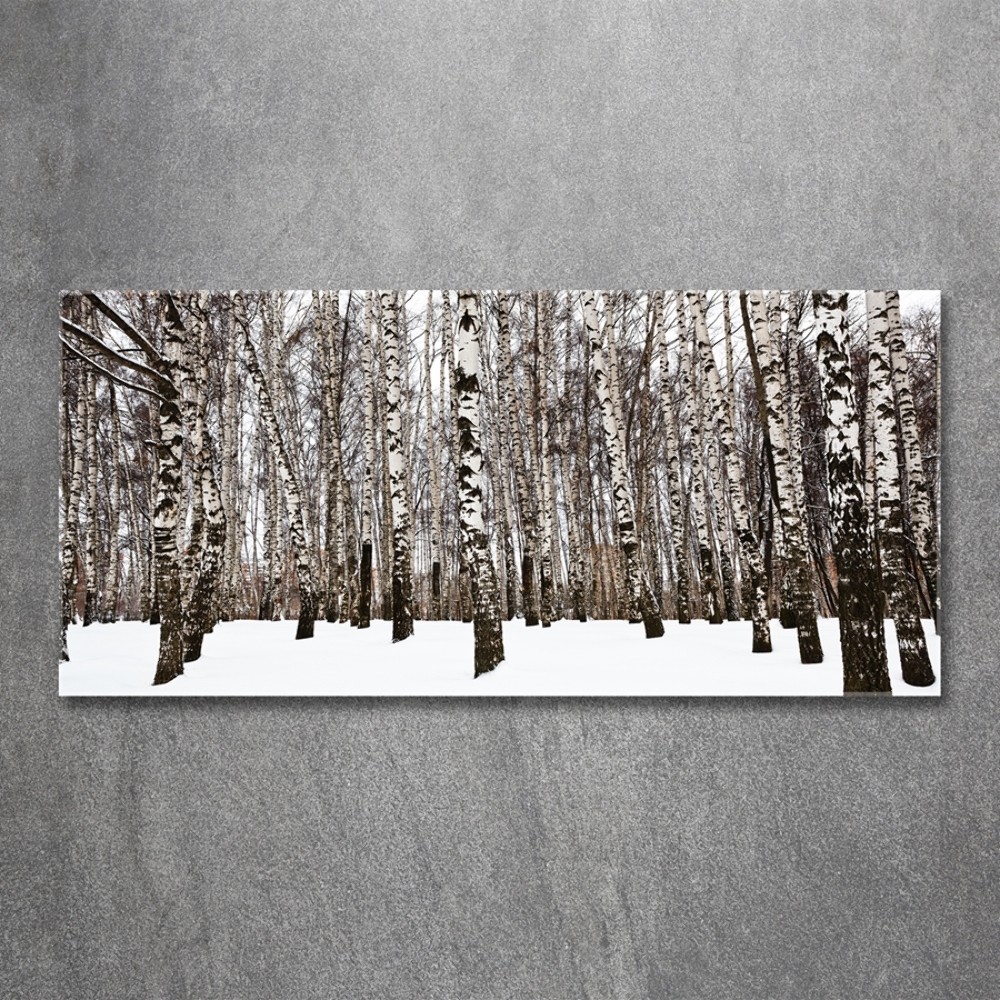 Glass wall art large Birches in winter