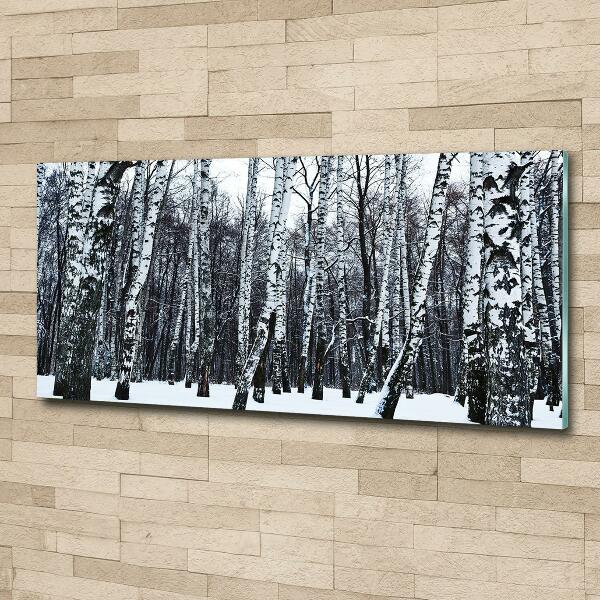 Glass wall art large Birches in winter