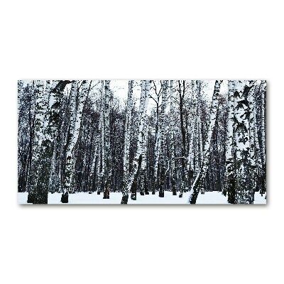 Glass wall art large Birches in winter