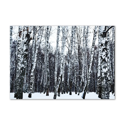 Glass wall art large Birches in winter