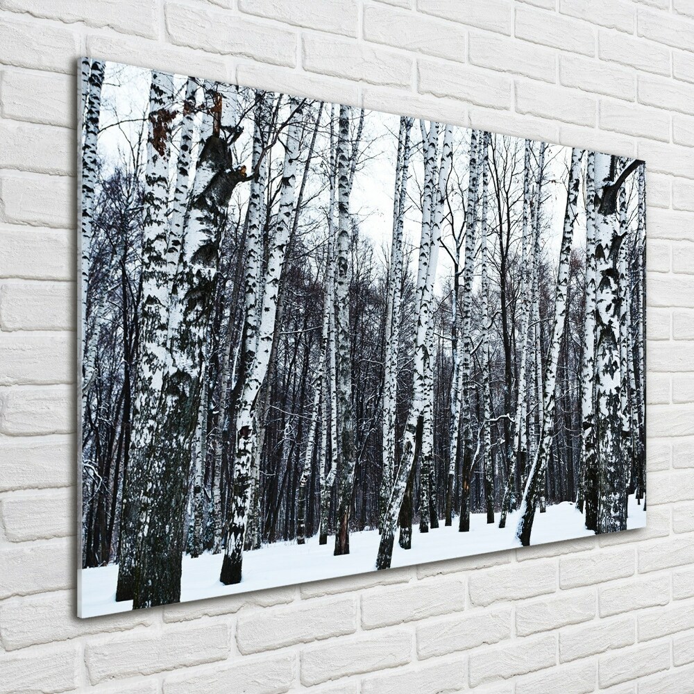 Glass wall art large Birches in winter