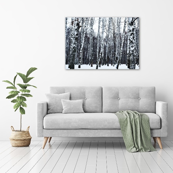 Glass wall art large Birches in winter