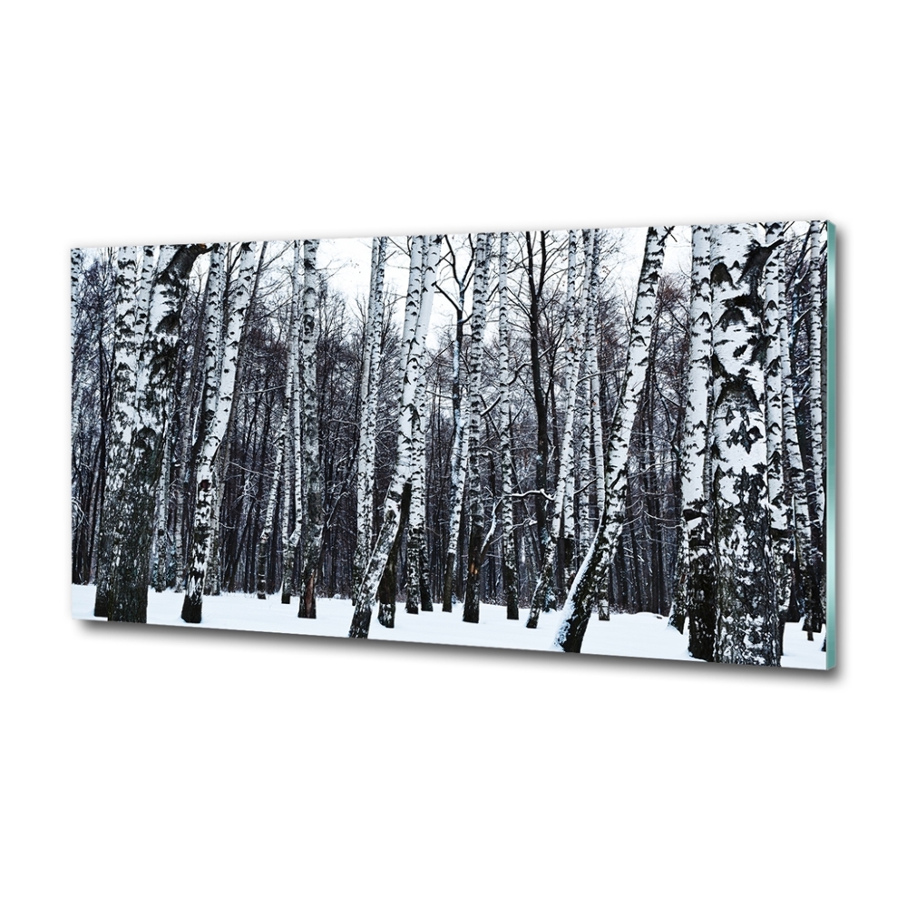 Glass wall art large Birches in winter