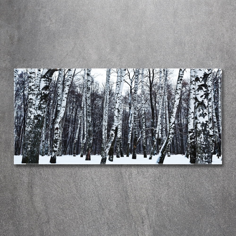 Glass wall art large Birches in winter