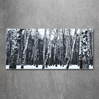 Glass wall art large Birches in winter