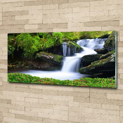 Glass picture print Waterfall in the forest