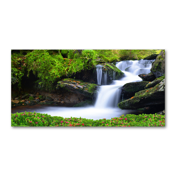 Glass picture print Waterfall in the forest