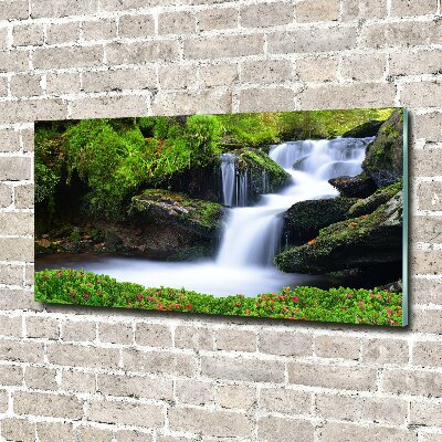 Glass picture print Waterfall in the forest