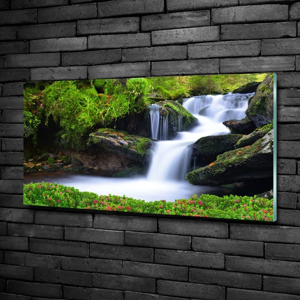 Glass picture print Waterfall in the forest