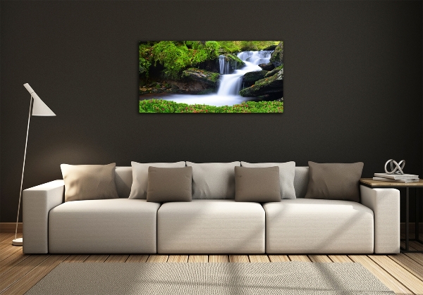 Glass picture print Waterfall in the forest