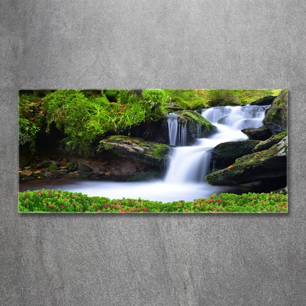 Glass picture print Waterfall in the forest