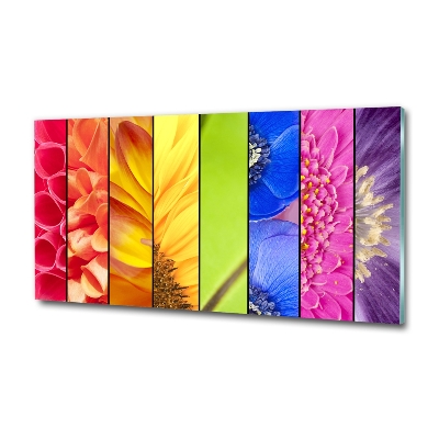 Photo printed on glass Colorful flowers