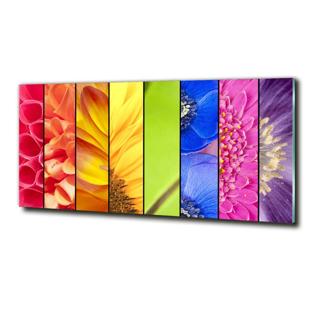 Photo printed on glass Colorful flowers