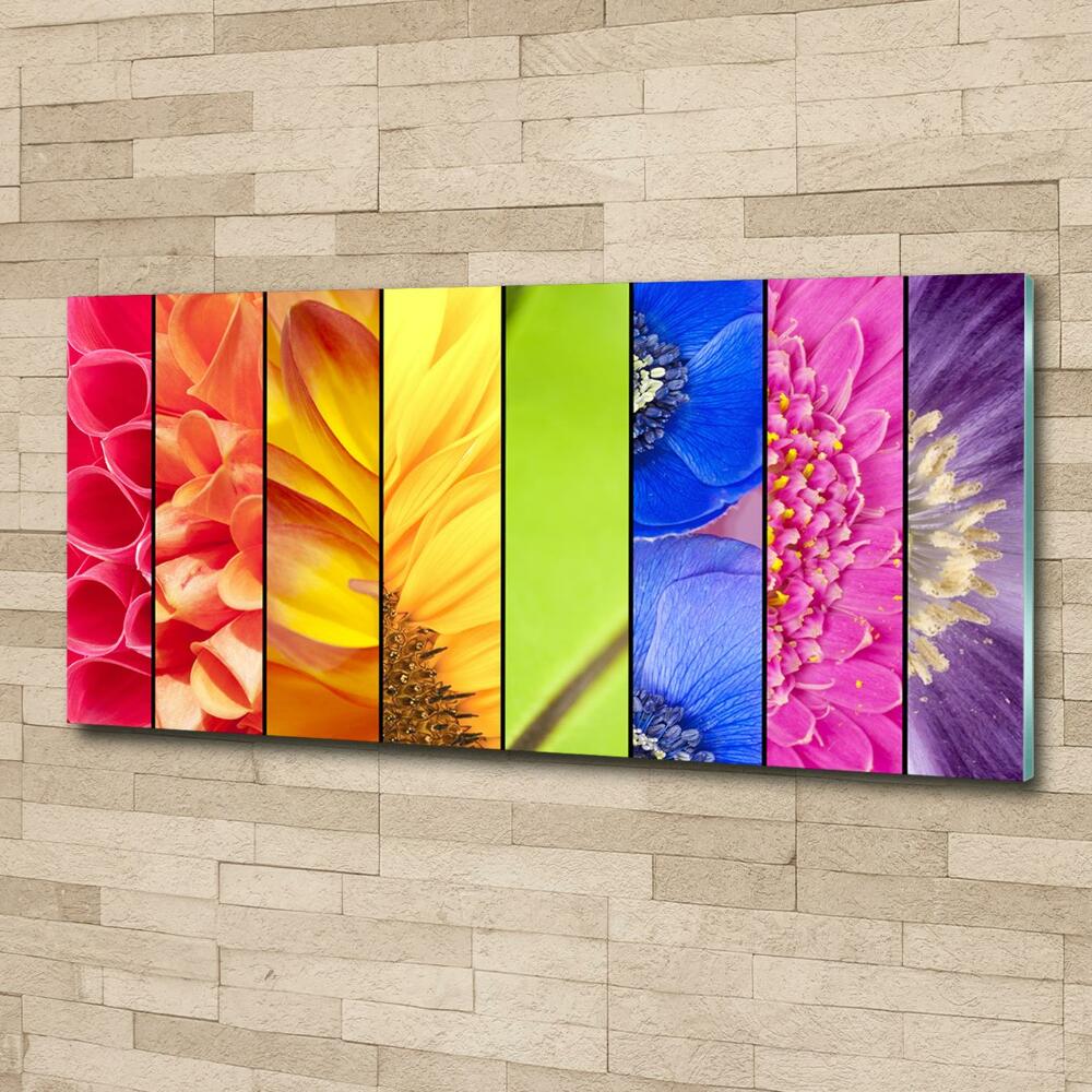 Photo printed on glass Colorful flowers