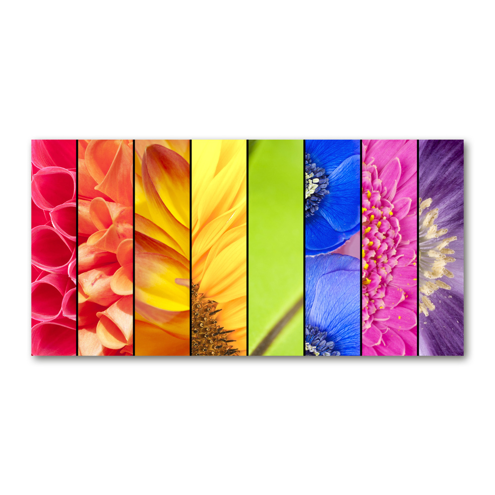 Photo printed on glass Colorful flowers