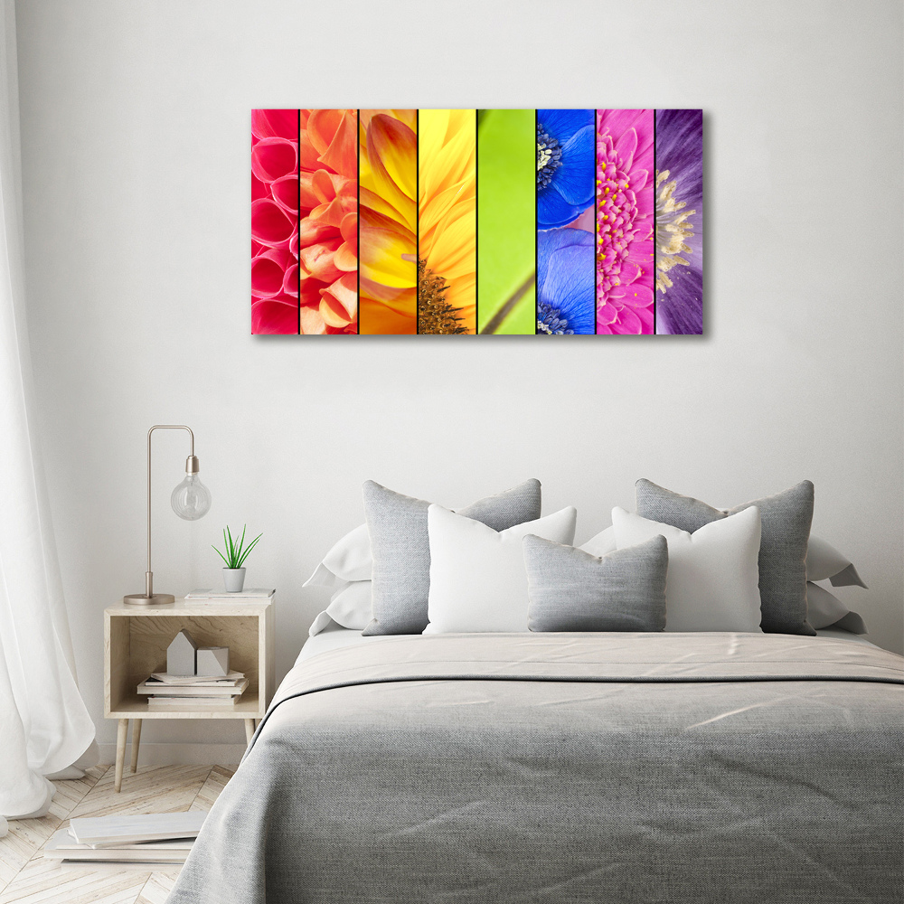 Photo printed on glass Colorful flowers