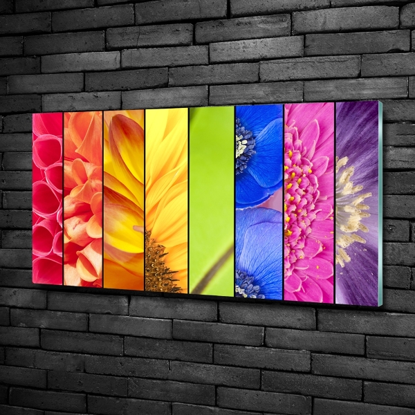 Photo printed on glass Colorful flowers