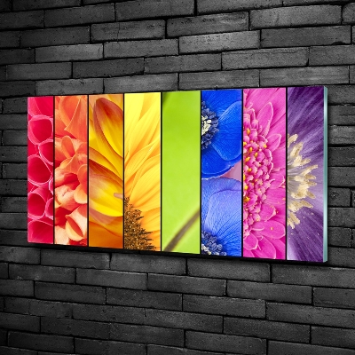 Photo printed on glass Colorful flowers