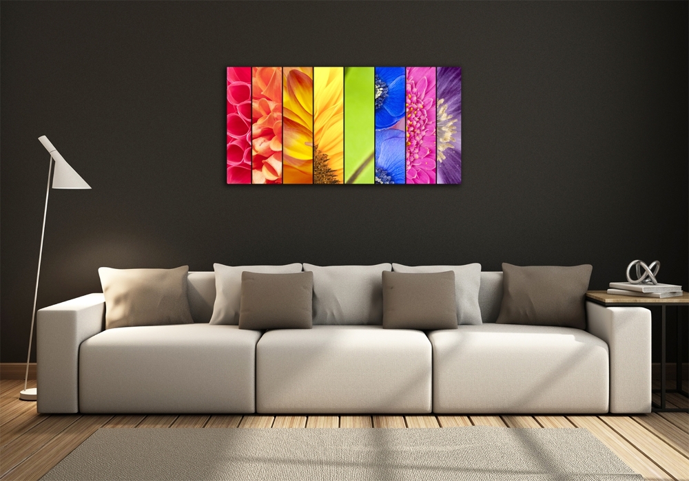 Photo printed on glass Colorful flowers