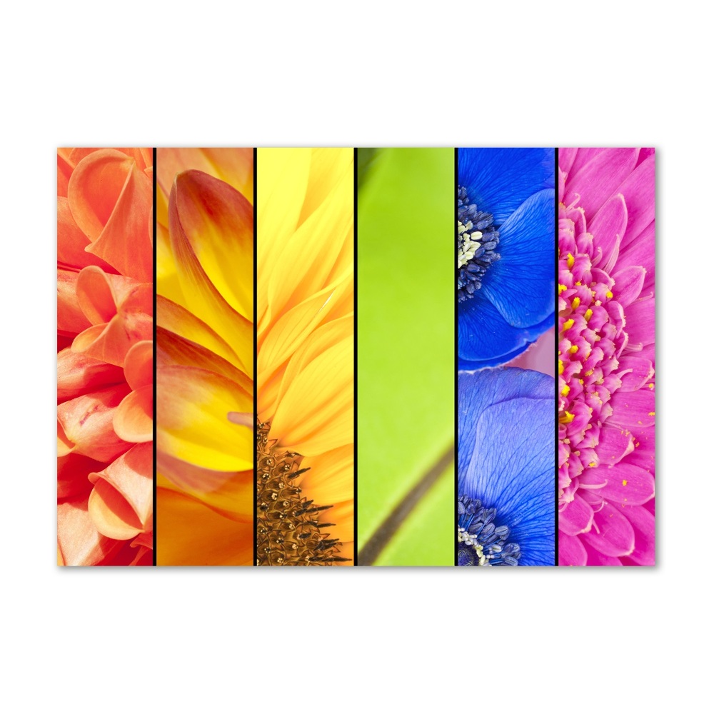 Photo printed on glass Colorful flowers