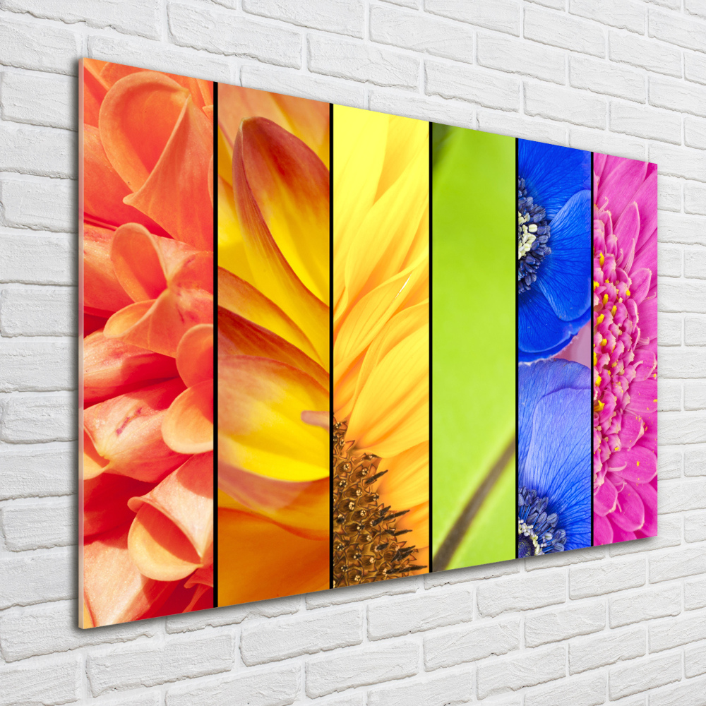 Photo printed on glass Colorful flowers